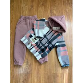 Костюм дитячий спортивний теплий на дівчинку 254-2 powder р.104-128 "RSV" недорого оптом від прямого постачальника