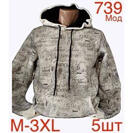 Худи чоловічий ND122-739 grey р.M-3XL "EMRE" недорого оптом від прямого постачальника