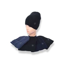 Шапка чоловіча зимова SW035-25 на флісі mix р.56-60 "Angelica" недорого оптом від прямого постачальника