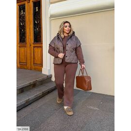 Фотография Женский костюм кофта с брюками на резнике большие размеры р.46-48;50-52;54-56;58-60 (4цв) "VLADA" купить недорого от прямого поставщика