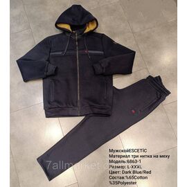 Фотография Спортивный мужской костюм на меху ESCETIC размеры  L-3XL (5цв)  "REMAIN"  недорого от прямого поставщика