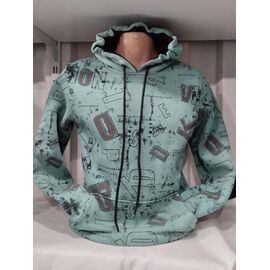 Худи чоловічий 1411 mint р.S-2XL "RING" недорого оптом від прямого постачальника
