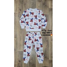 Фотография Пижама детская тёплая на мальчика 420-1 grey р.98-122 "iBamBino" недорого оптом от прямого поставщика