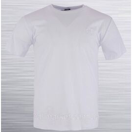 Футболка чоловіча трикотажна UA батал р-ри 2XL-6XL (2кв.) "REMAIN" недорогого від прямого постачальника