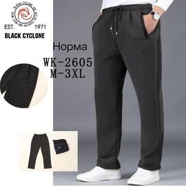 Фотография Штаны спортивные мужские утеплённые G67-2605 grey р.M-3XL "ZERO" недорого оптом от прямого поставщика