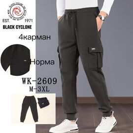 Фотография Штаны спортивные мужские утеплённые G86-2609 grey р.M-3XL "ZERO" недорого оптом от прямого поставщика