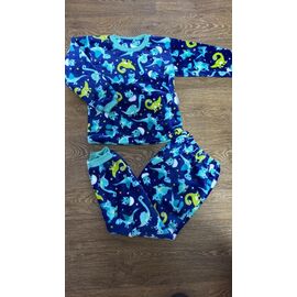 Піжама дитяча тепла на хлопчика PR568 blue р.26-34 "Proschenko" недорого оптом від прямого постачальника