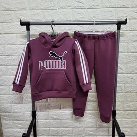 Костюм дитячий спортивний теплий на дівчинку PR593 purple р.2-4 "Proschenko" недорого оптом від прямого постачальника
