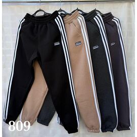 Штани спортивні чоловічі утеплені S1451 d.grey р.46-54 "Shon" недорого оптом від прямого постачальника