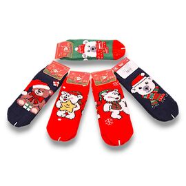 Шкарпетки дитячі теплі унісекс C3562-6 mix р.21-26 "Jelzin" недорого оптом від прямого постачальника