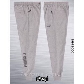 Спортивні штани чоловічі на флісі з манжетами Пума розміри S-2XL (2кв) "REMAIN" недорого від прямого постачальника