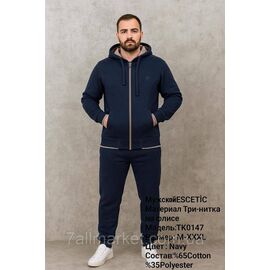Фотография Спортивный мужской костюм трехнитка на флисе ESCETIC  размеры  M-3XL (6цв) "REMAIN" купить недорого от прямого поставщика