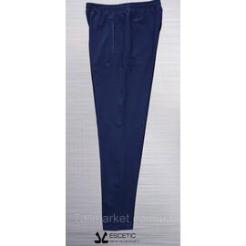 Спортивні штани чоловічі на флісі з манжетами ESCETIC розміри M-3XL (2кв) "REMAIN" недорого від прямого постачальника