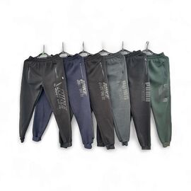 Штани спортивні утеплені підліткові E720 navy р.38-46 "Essa" недорого оптом від прямого постачальника