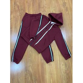 Костюм дитячий спортивний теплий на дівчинку 254-8 wine р.110-134 "RSV" недорого оптом від прямого постачальника