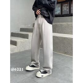 Штани чоловічі утеплені 6221 l.grey р.M-3XL "2BRO" недорого оптом від прямого постачальника