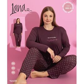 Піжама жіноча 665-12 brown р.3XL-5XL "Vehuiah" недорого оптом від прямого постачальника