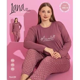 Піжама жіноча 665-13 brown р.3XL-5XL "Vehuiah" недорого оптом від прямого постачальника