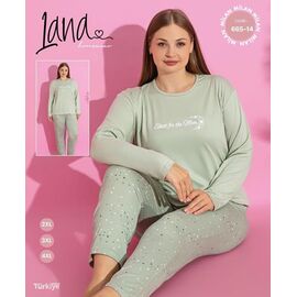 Піжама жіноча 665-14 mint р.3XL-5XL "Vehuiah" недорого оптом від прямого постачальника