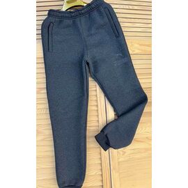 Штани спортивні чоловічі утеплені K6 grey р.46-54 "VICTORY" недорого оптом від прямого постачальника