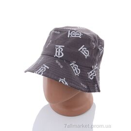 Фотография Панама зимняя женская Весна/осень CL007-24 grey (3 шт. р.сетка 57-59) "KUINH" недорого оптом от прямого поставщика