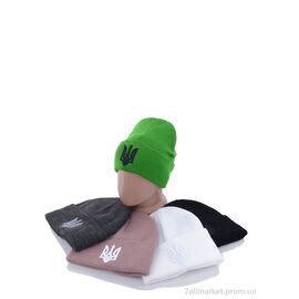 Фотография Шапка унисекс Зима Шапка з вишивкою тризуб на флісі B001 mix (5 шт. р.сетка One size) "VIOLA" недорого оптом от прямого поставщика