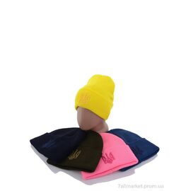 Фотография Шапка унисекс Зима Шапка з вишивкою тризуб на флісі B002 mix (5 шт. р.сетка One size) "VIOLA" недорого оптом от прямого поставщика