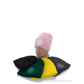 Фотография Шапка унисекс Зима Шапка з вишивкою стон на флісі B002 mix (5 шт. р.сетка One size) "VIOLA" недорого оптом от прямого поставщика