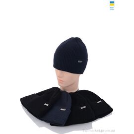 Шапка чоловіча Зима MW012-1 на флісі mix (5 шт. р.сітка56-60) "Angelica" недорого оптом від прямого постачальника