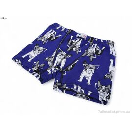 Труси дитячі Весна/осінь GKID11 dog blue (146-152) (1 шт. р.сіткаOne size) "NOVA VIDNOVA" недорого оптом від прямого постачальника