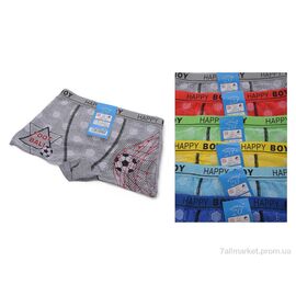 Фотография Трусы детские Весна/осень Z02102 mix (6 шт. р.сетка S-XL) "Look&Buy Clothes" недорого оптом от прямого поставщика