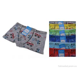 Фотография Трусы детские Весна/осень Z02103 mix (6 шт. р.сетка S-XL) "Look&Buy Clothes" недорого оптом от прямого поставщика