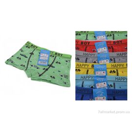 Труси дитячі Весна/осінь Z02105 mix (6 шт. р.сіткаS-XL) "Look&Buy Clothes" недорого оптом від прямого постачальника