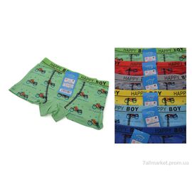 Труси дитячі Весна/осінь Z02106 mix (6 шт. р.сіткаS-XL) "Look&Buy Clothes" недорого оптом від прямого постачальника