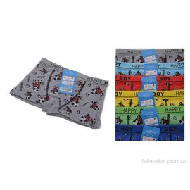 Фотография Трусы детские Весна/осень Z02201 mix (6 шт. р.сетка S-XL) "Look&Buy Clothes" недорого оптом от прямого поставщика