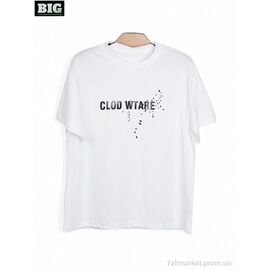 Фотография Футболка унисекс Лето 3972-170-4 white (5 шт. р.сетка 130-170) "BIG" недорого оптом от прямого поставщика