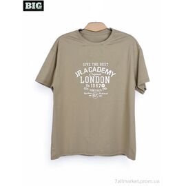Фотография Футболка унисекс Лето 3972-170-5 khaki (5 шт. р.сетка 130-170) "BIG" недорого оптом от прямого поставщика