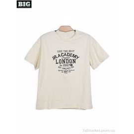 Футболка унісекс Літо 3972-170-6 beige (5 шт. р.сітка130-170) "BIG" недорого оптом від прямого постачальника