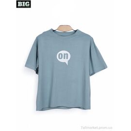 Футболка унісекс Літо 3972-160-5 l.blue (5 шт. р.сітка120-160) "BIG" недорого оптом від прямого постачальника