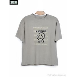Футболка унісекс Літо 3972-160-6 grey (5 шт. р.сітка120-160) "BIG" недорого оптом від прямого постачальника