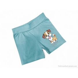 Фотография Шорты детские Лето 13142 фісташковий (4 шт. р.сетка 2-5) "Kids-modnik" недорого оптом от прямого поставщика