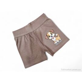 Фотография Шорты детские Лето 13142 коричневий (4 шт. р.сетка 2-5) "Kids-modnik" недорого оптом от прямого поставщика