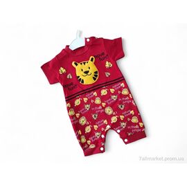 Фотография Песочник детский Лето 4504 червоний тигр (3 шт. р.сетка 3-9) "Kids-modnik" недорого оптом от прямого поставщика