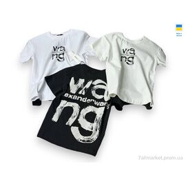 Фотография Футболка детская Лето 006-3 чорний (92р) (1 шт. р.сетка One size) "Mimicoo" недорого оптом от прямого поставщика