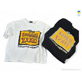 Футболка дитяча Літо 037 чорний (122р) (1 шт. р.сіткаOne size) "Mimicoo" недорого оптом від прямого постачальника