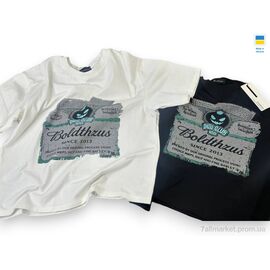 Фотография Футболка детская Лето 049 чорний (134р) (1 шт. р.сетка One size) "Mimicoo" недорого оптом от прямого поставщика