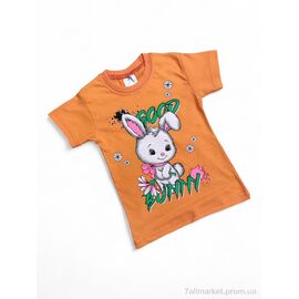 Футболка дитяча Літо 117-3 помаранчевий (4 шт. р.сітка1-4) "Kids-modnik" недорого оптом від прямого постачальника