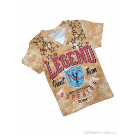 Фотография Футболка детская Лето 1024 Legend гірчичний (4 шт. р.сетка 2-5) "Kids-modnik" недорого оптом от прямого поставщика