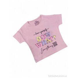 Фотография Футболка детская Лето 110010 т.пудровий (5 шт. р.сетка 3-7) "Kids-modnik" недорого оптом от прямого поставщика