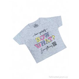 Фотография Футболка детская Лето 110010 св.сірий (5 шт. р.сетка 3-7) "Kids-modnik" недорого оптом от прямого поставщика